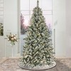 9 ft Snowy Harwich Hinged Artificial Christmas Tree with 700 Warm White LED Lights & Caps+ PowerConnect™ System - 2 of 4