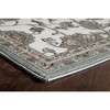 Rugs America Monaco Oriental Transitional Area Rug - 4 of 4