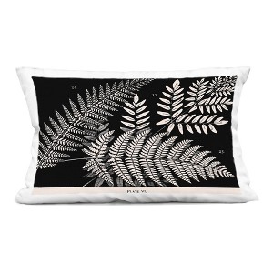 Stupell Industries Fern Varieties on Black Indoor Decorative Throw Pillow, 14 x 20 - 1 of 3