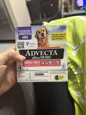 Advecta 3 for dogs side effects best sale