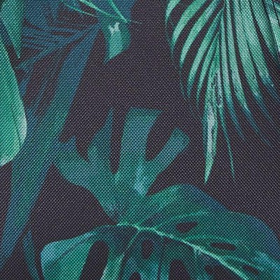 night tropical