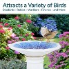 Sunnydaze Misty Blossom Ceramic Bird Bath with Glazed Finish - White and Blue - 23" H - 4 of 4