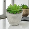 Unique Bargains Artificial Plants Mini Echeveria in Pulp 2.36"x2.36"x3.15" 1 Pc - 2 of 4