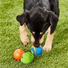 Chuckit Fetch Medley Dog Ball Dog Toys, Medium (2.5 Inch) Assorted Pack of 3 - 2 of 2