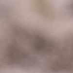 charcoal, ivory, medium gray, light gray, dusty pink, pale blue