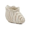 Okak 9x5.5x5.7 Inches Sand and Cement Conch Shell Planter Textured Finish for Indoor and Outdoor Use, Decorative Plant Pot - 2 of 4