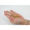 Collectible Wildlife Gifts | Centipede, Green, Arthropods, Museum Quality, Hand Painted, Rubber Chilopoda, Model,  Toy, Gift,  3"   CH518 BB158 - 2 of 4