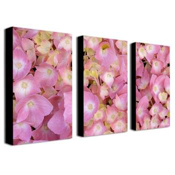 Trademark Fine Art -Kathier McCurdy 'Pink Hydrangea' Canvas Art Set