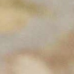 mauve, gray, ivory, olive, lightolive