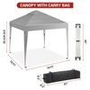10 x 10 FT Pop Up Canopy Tent, Commercial Portable Canopy with Wheeled Carry Bag, Waterproof Party Tent for Patio, Garden - 2 of 4