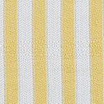yellow zebra