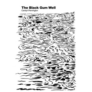 The Black Gum Well - by  Carolyn Pennington (Paperback) - 1 of 1