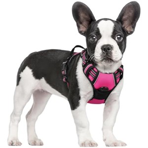 rabbitgoo Dog Harness No Pull with 2 Leash Clips, Adjustable Soft Padded, Vest with Easy Control Handle for Large Dogs, Hot Pink, S - 1 of 1