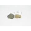 CWG | Clams, Pair of Two, Realistic Plastic Littleneck Clams Model, Toy, Figure     1"     CWG140 BB28 - 2 of 4