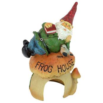 Design Toscano Gnome Frog House Garden Statue - Multicolored