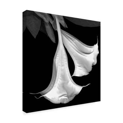 Trademark Fine Art -Susan S. Barmon 'Trumpet Flower Black And White' Canvas Art