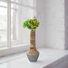 Mela Artisans Raimona Natural Mangowood and Enamel Vase - 3 of 4