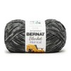Bernat Blanket Mist-Ical Yarn 24 Pack-Cinder - 2 of 4