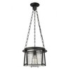 Z-Lite Cape Harbor 1 - Light Pendant in  Matte Black - 3 of 4