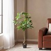 Gulches 63 Inch Artificial Lucky Money Tree Plants, Pre - Potted Plant, Ideal for Indoor Gardens, Living Rooms and Bedrooms - 3 of 4