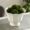 Plum & Post Mirabelle Fluted Cachepot Large - 4 of 4