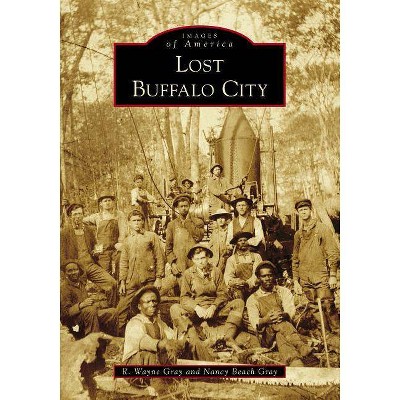 Lost Buffalo City - by  R Wayne Gray & Nancy Beach Gray (Paperback)