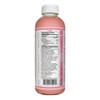 Gt's Guava Paloma Agua De Kefir - 16 Fl Oz : Target