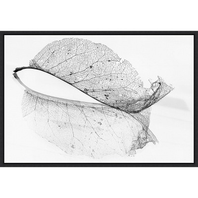 Amanti Art The old leaf by Katarina Holmstrom Canvas Wall Art Print Framed 23 x 16-in.