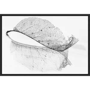 Amanti Art The old leaf by Katarina Holmstrom Canvas Wall Art Print Framed 23 x 16-in. - 1 of 4