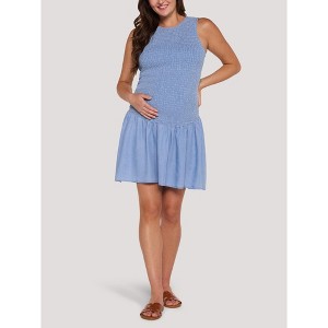 Women's Sleeveless Smocked Drop Waist Mini Dress - Chambray - Size: Small