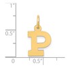 Black Bow Jewelry 14k Yellow Gold, Amanda Collection, Small Block Initial P Pendant - 4 of 4