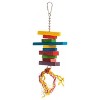 Prevue Pet Products Physical & Mental Bodacious Bites Sassy Bird Toy 60951 - 2 of 3
