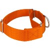 Country Brook Petz 1 1/2 Inch Martingale Heavyduty Nylon Dog Collar - 3 of 4