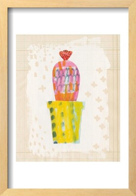 Big History (DVD + Digital)