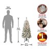 National Tree Company First Traditions Pre-Lit Flocked Acacia Artificial Christmas Tree Clear Lights - 4 of 4