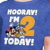 Girls' - Disney - Hooray I'm 2 Today Short Sleeve Graphic T-Shirt - 2 of 4