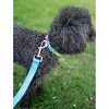 Country Brook Petz Deluxe Dog Collar - Groovy Collection - 2 of 4