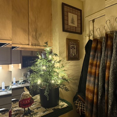 Guest review image 1 of 1, zoom in