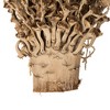 Vickerman Olympia Seed Pod, Dried - 4 of 4