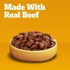 Pedigree Beef Flavor Choice Cuts in Gravy Wet Dog Food - 13.2oz - 3 of 4