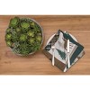 C&F Home Fletcher Forest Napkin Set of 6 - 3 of 4