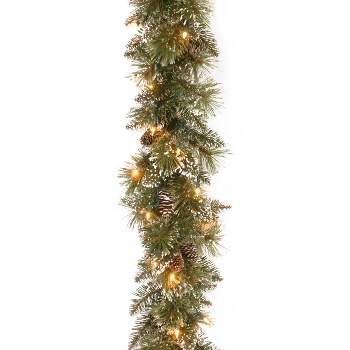 6' Glittery Bristle Pine Garland Battery Operated  White LED Lights - National Tree Company