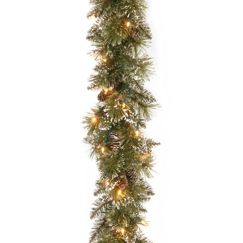 6' Glittery Bristle Pine Garland Battery Operated  White LED Lights - National Tree Company, 1 of 8