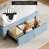 Twin Size Upholstered Platform Bed Frame with Storage Headboard & Under-Bed Drawer, Velvet Bed with Sturdy Metal Slats - 4 of 4