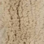 Sand