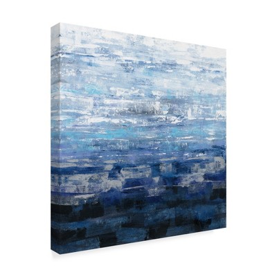 Trademark Fine Art -Silvia Vassileva 'Icelandic Wave' Canvas Art