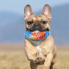 NERF Color Blast Squeak Football Dog Ball Toy - 3 of 4