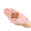 Furry Republic Bones Chicken Apple and Peanut Butter Recipe Chewy Dog Treats - 6oz Bag - 4 of 4