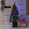 60ct LED C6 Faceted Christmas String Lights with Green Wire - Wondershop™ - 2 of 4
