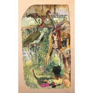 Understanding Madness - by  Carlo Levy (Paperback) - 1 of 1